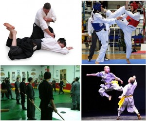 kungfu, Taekwondo, Ninjutsu, Jujutsu -- Muay Thai training camp Phuket