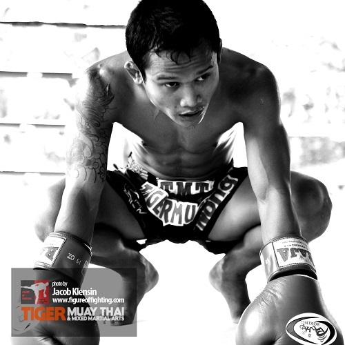 Talayhod Tiger Muay Thai -- Muay Thai training camp Phuket